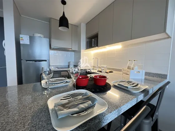 Cod39160 Arriendo Departamento 1d Y Estacionamiento