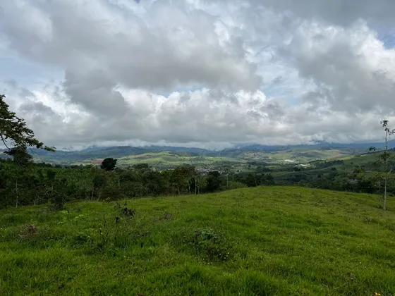 Vendo Finca Ganadera En Restrepo Valle