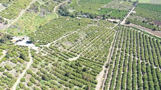 Agrícola En Venta En Melipilla