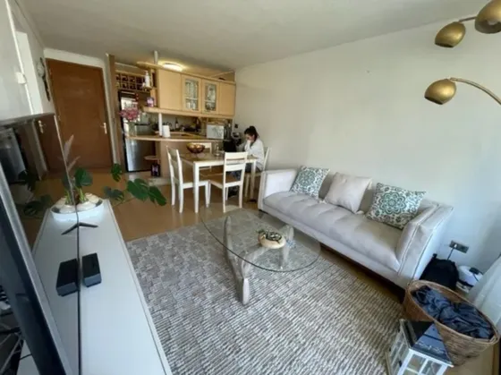 Arriendo Departamento 1d+1b Cercano A Colegio La Girouette