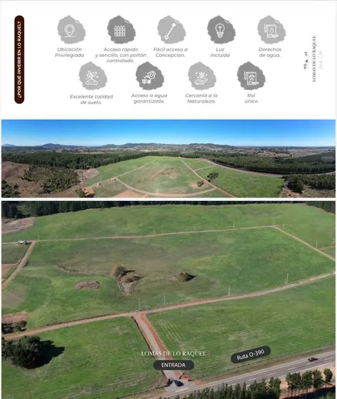 Parcelas A 40 Minutos De Concepción Florida (165913)