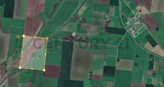 Venta Campo De 127 Ha, Clason, Santa Fe
