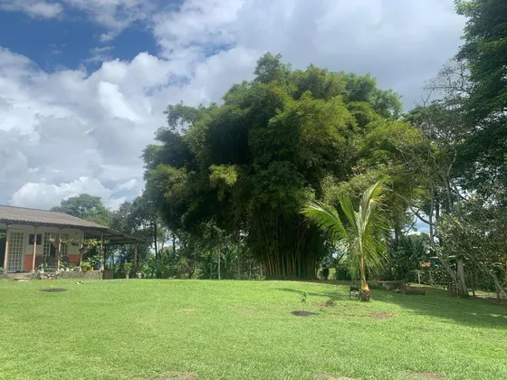 Finca En Circacia Quindio