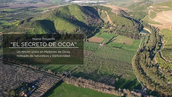 Sitio En Venta En Ocoa