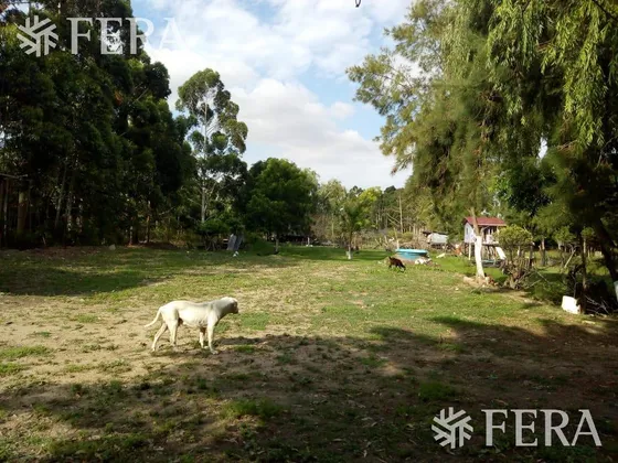 Venta Terreno 3 Hectareas En Sarandi
