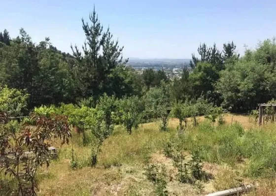 Terreno 6.772 M2 Con Casa En Angol