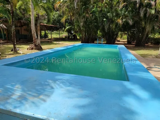 Raiza Suárez Vende Hermosa Casa Ubicada En Simon Planas 2  4  1  4  1  3  4 Posee 5 Habiataciones, 4 Baños, 10 Puestos De Estacionamiento, Piscina, Caney, Parque Infantil, Cocina.