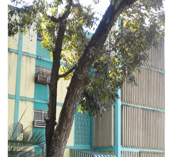Apartamento En Pb , Buena Ubicación, Zona Tranquila.