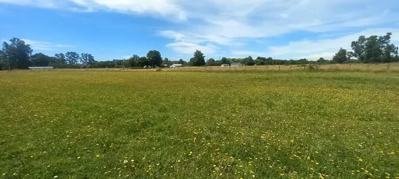 Terreno Agricola Un Lienzo En Blanco Para Crear Tu Vida