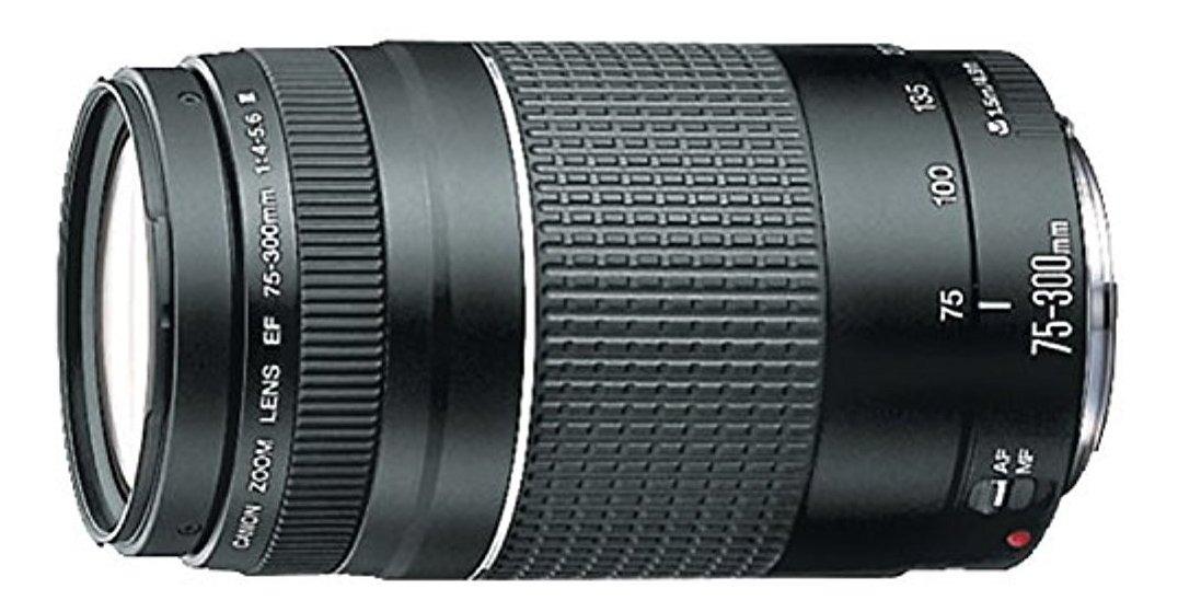 Canon Ef 75-300m F/4-5.6 Iii Teleobjetivo Zoom Lente Slr Cám | Mercado
