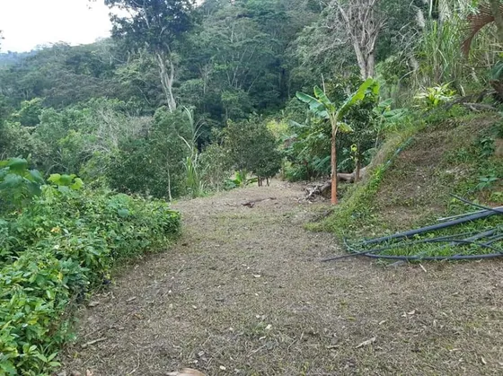 Se Vende Finca En Bejuma -altos De Mocundo