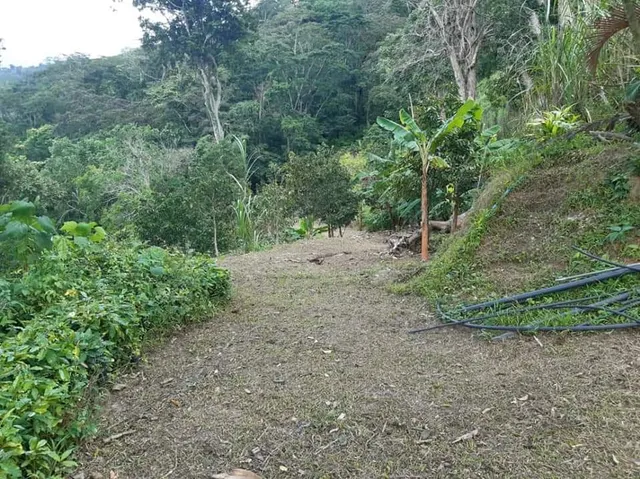 Se Vende Finca En Bejuma -altos De Mocundo