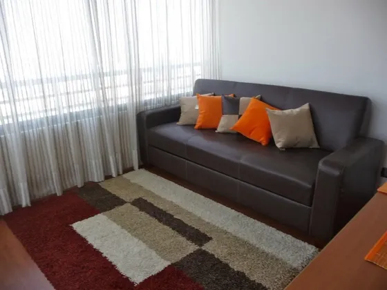 Departamento Amoblado En Arriendo Manuel Montt Providencia
