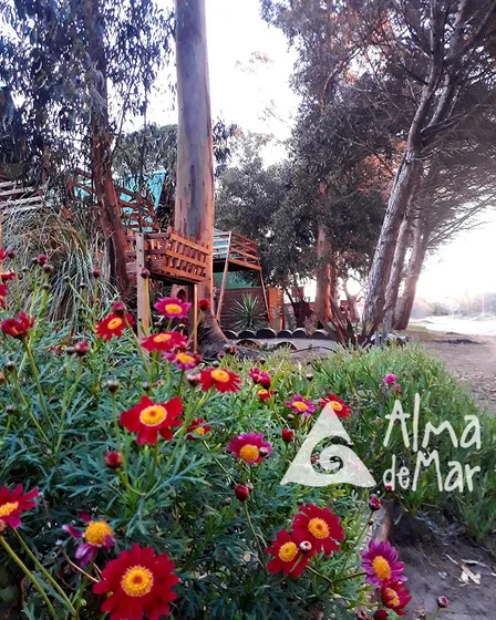 Alquiler En Reta, Alma De Mar