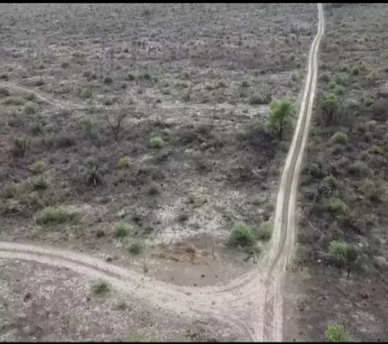 Campo Las Palomas-provincia De San Luis