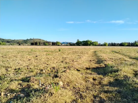 Campo 33,5 Ha, Plano, Buen Acceso,  San Clemente, Vii R