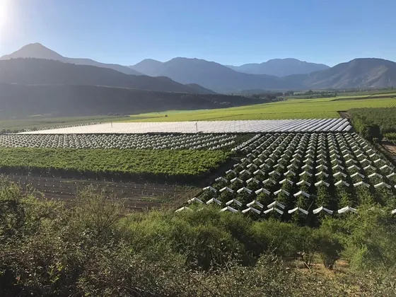 Agrícola En Venta En Paine