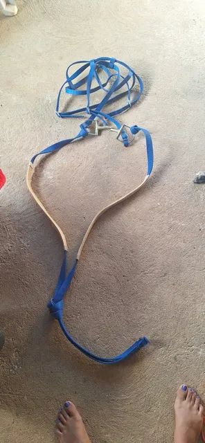 Vendo Accesorios Para Caballo