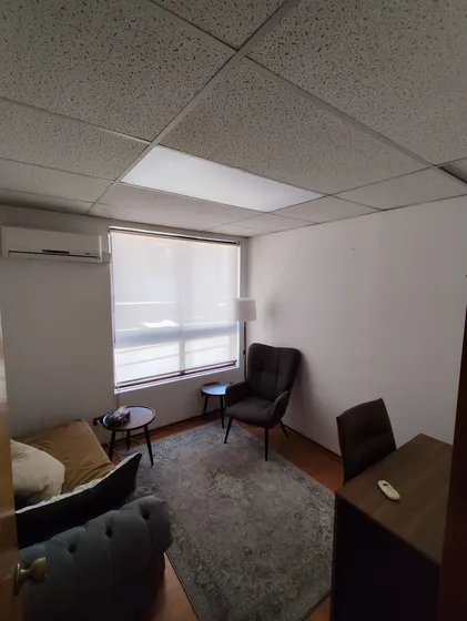 Consulta Disponible En Arriendo En Providencia (lun-vie-sab)