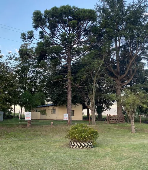 9.75has Campo Sobre Ruta Con Casa, Hermoso Parque Con Arboleda, Campo Apto Agricola-ganadero, Rincon De Nogoya