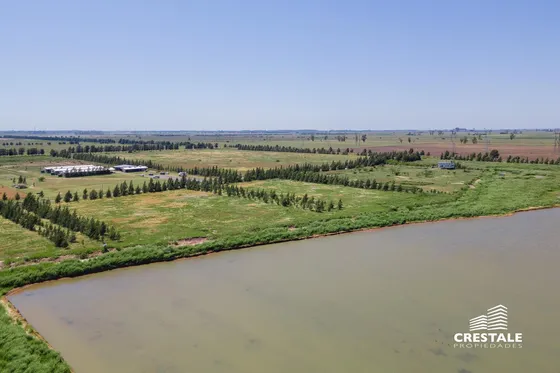 Campo En Venta - Haras De Funes