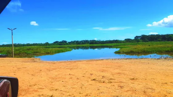 Terreno Próximo Ao Rio Paranasão Ms (pauliceia Sp)