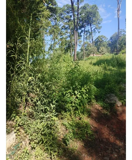 Excelente Oportunidad De Terreno En Monte Alto