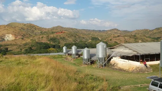 Negociable Granja Avícola Con Pozo De Agua Y Planta De 250kva Tinaquillo Edo. Cojedes Jm