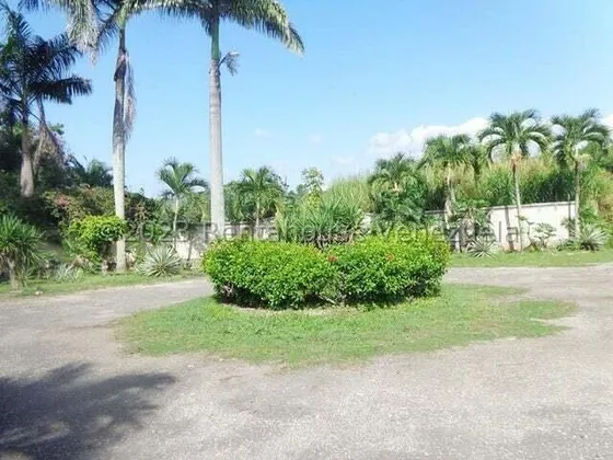 Te Imaginas Adquirir Este Terreno De 8000mtrs? Poder Desarrollar El Proyecto De Tus Suenos, No Dejes Pasar Esta Gran Oportunidad De Obtener Este Extenso Terreno Para Desarrollo Habitacional, Comercial