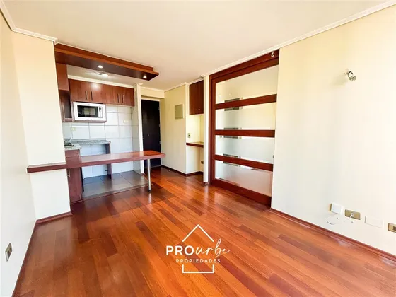 Depto En Arriendo De 1d En Santiago Con Excelente Ubicación