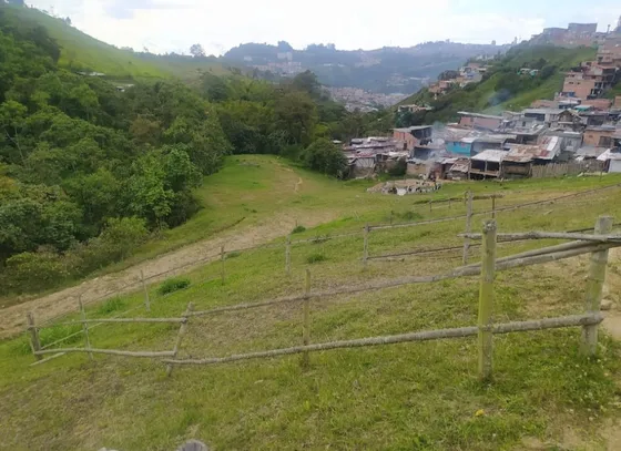 Lote En Venta En Turin - Manizales (279057437).