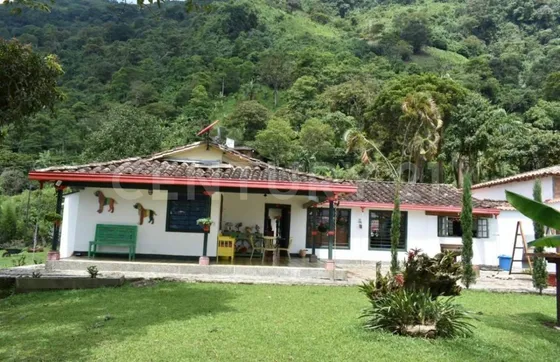 Venta Finca Ganadera En Fredonia, Antioquia.
