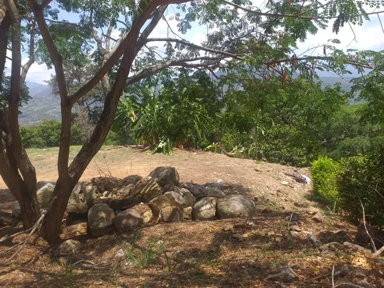 Lote En Venta - Vereda Trinidad - La Mesa - Cundinamarca