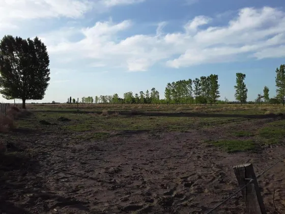 Terreno En Venta - 350.000mts2 - Villa Atuel, Mendoza