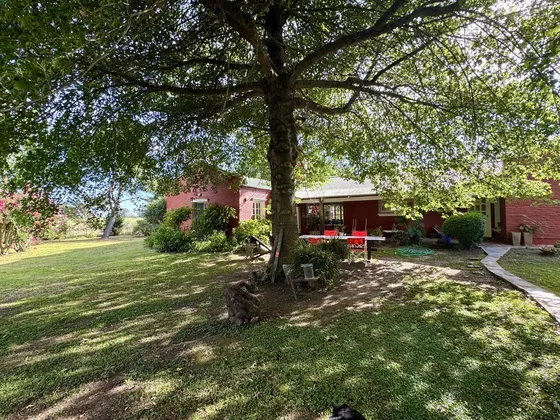 Campo En Open Door 20 Hcts., Con 3 Casas, 12 Caballerizas, Lujan