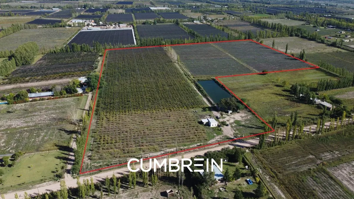11-Hectare Farm with Reservoir and D'Agen Plum Trees | Cuadro Benegas - San Rafael