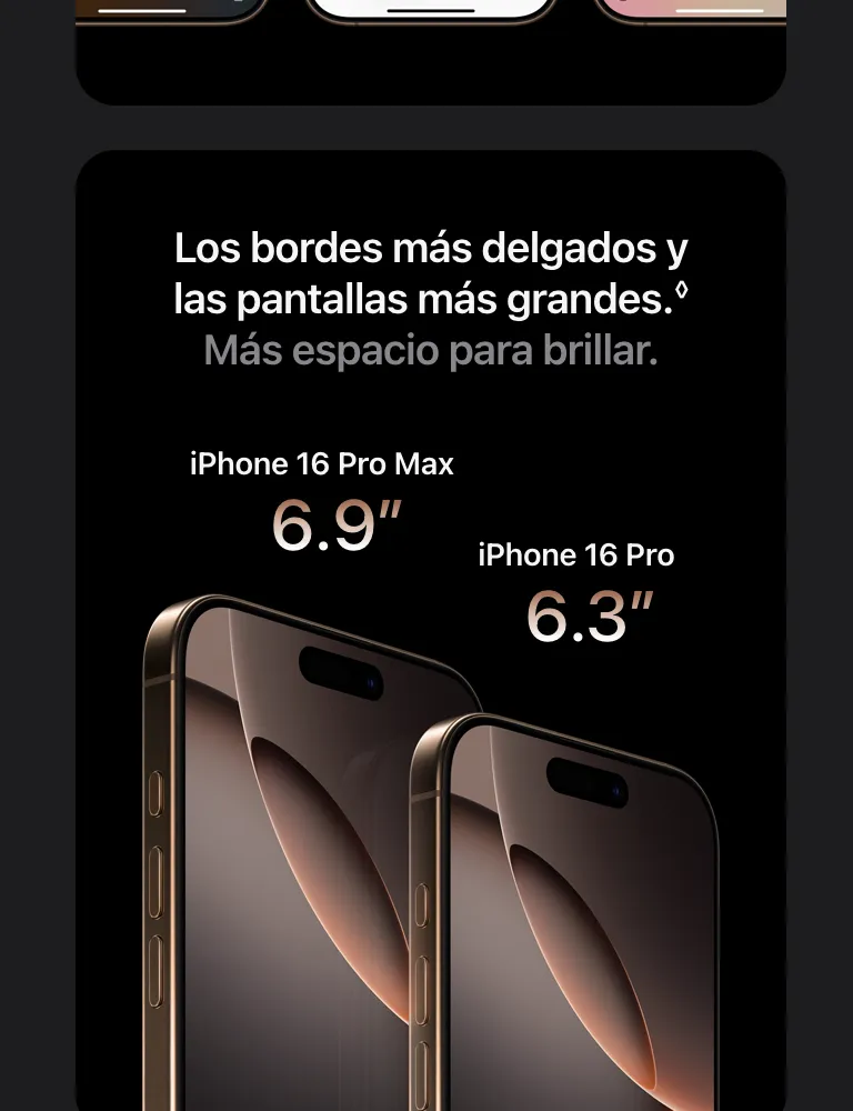 descripción