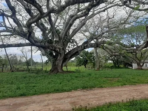Te Vendo Hermosa Propiedad En Bayaguana. 