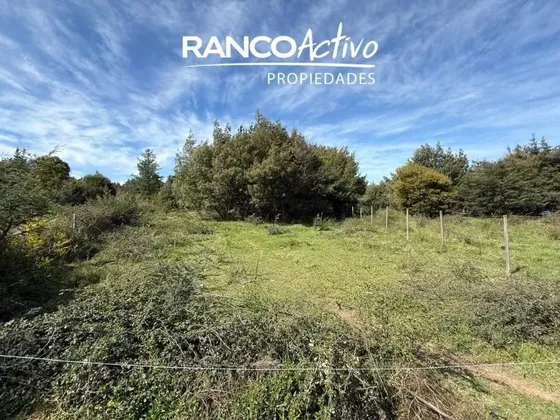 Parcela En Venta En Quillón, Acceso A Estero, Sector Chancal