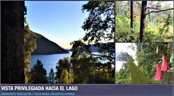 Terreno Construccion En Venta En Cunco