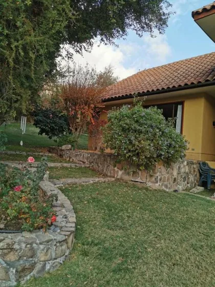 La Aurora De Curacaví (73918)