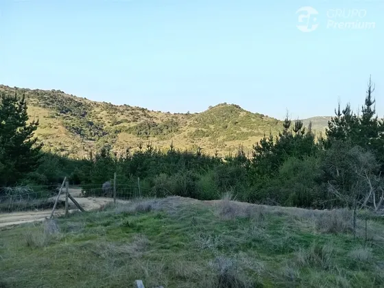 Parcela En Venta En Chépica