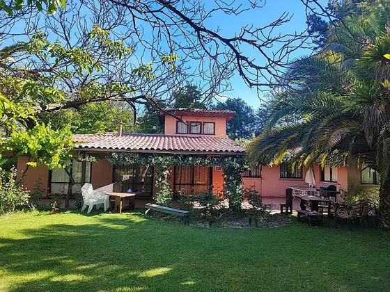 Camino Buin Maipo