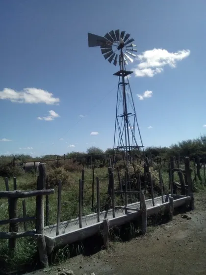 Vendo Campo Ganadero En Carmensa General Alvear Mendoza