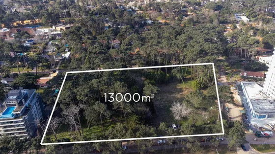 Terreno En Venta Para Edificio Av Roosevelt Parada 16