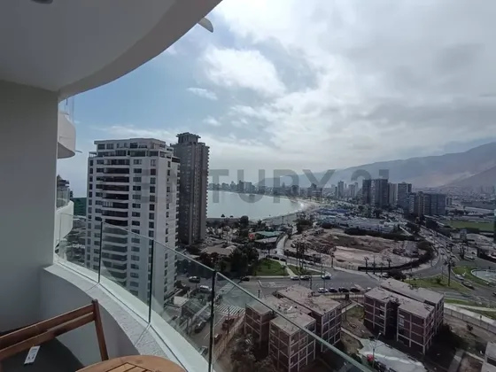 Arriendo Departamento Tipo Estudio Distrito Cavancha
