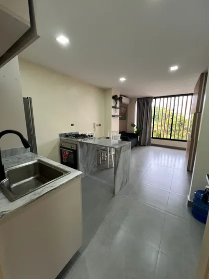 Apartamento De Una Habitacion Amueblado En Bella Vista
