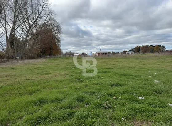 Parcelas 5.000 M² Cerca De Osorno
