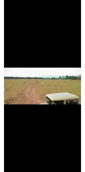 Vendo Hermosa Finca Ganadera En Cumaral Meta