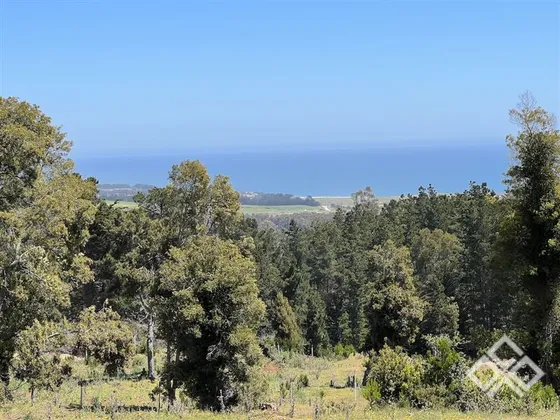 Sitio En Venta En Pichilemu
